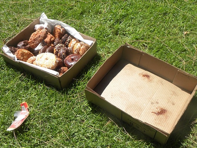 Someone left a whole box of luscious doughnuts rotting in the sun on a strip of grass across the street from the Home Depot Center, Escondido.