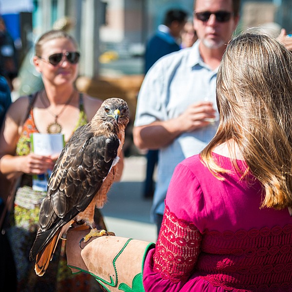 The soirée supports coastal wildlife, education, and sustainability programs at Living Coast