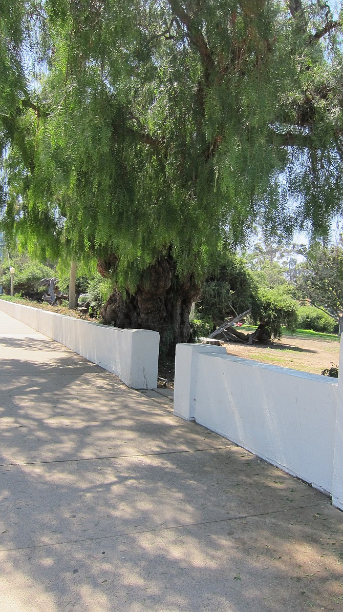 This exit on the bridges deck offers one path for transients into the bridge.