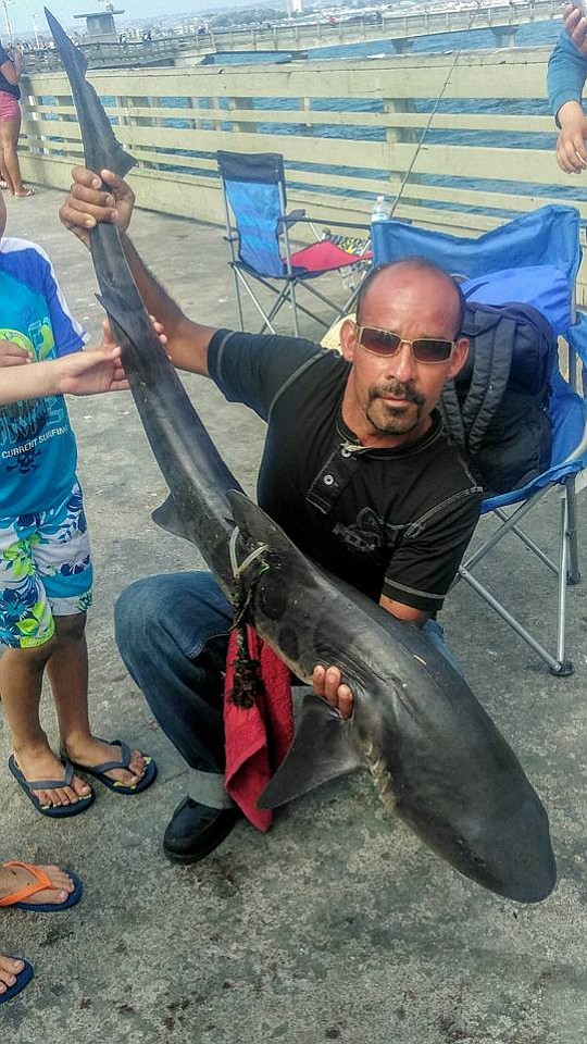 José Plascencia and a tagged leopard shark he caught