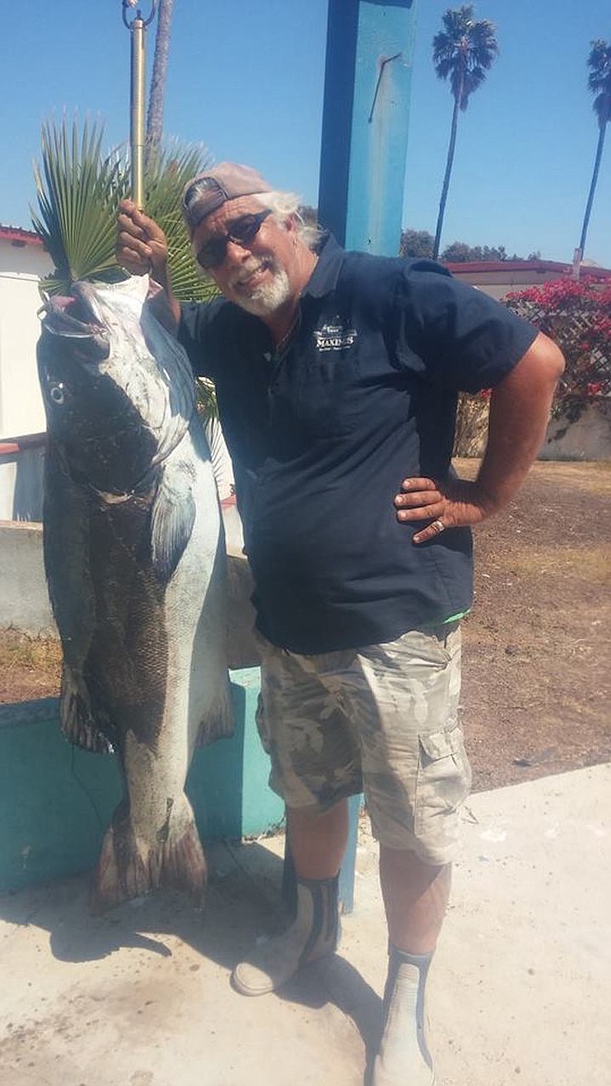 Alex Rekrut with a 94.6-pound black seabass caught this week in San Quintin)
