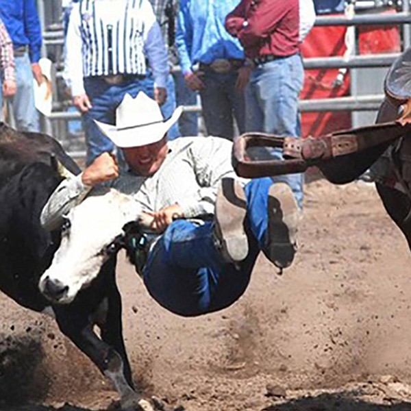 Cowgirl racing, horse-and-cowboy roping, steer wrestling, team roping, bull riding.