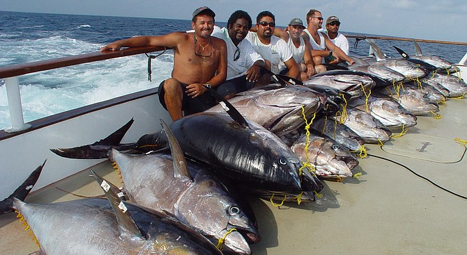 Yellowfin tuna fishing off the hook