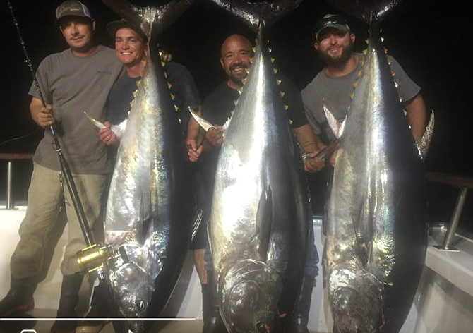 The 200-pound-plus bluefin tuna caught aboard the Pacific Dawn.