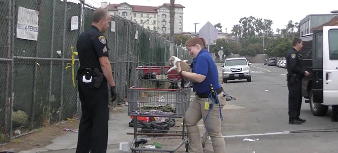 When homeless people get arrested, their pets get hauled off, too.
