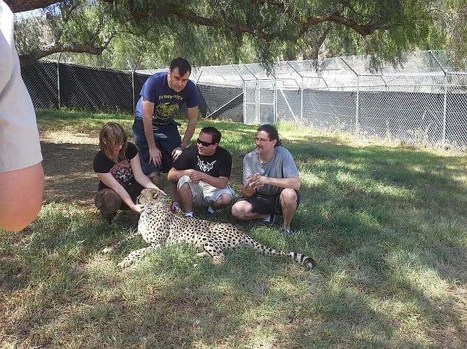 Petting cheetahs with Rachel, Barney from Napalm Death, and Paul from Cannibal Corpse