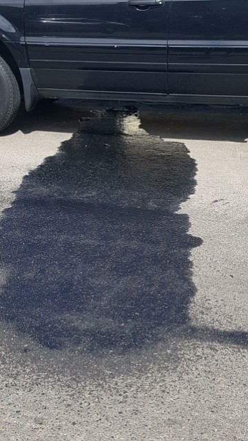 Oil puddle left behind by one of the party buses