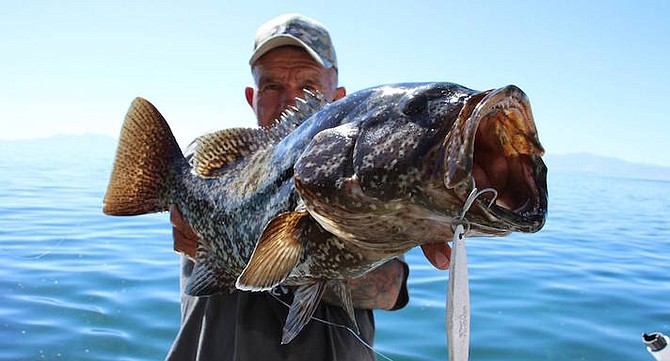 Juan Cook with grouper caught in Bahia de los Angeles - Image by Juan Cook