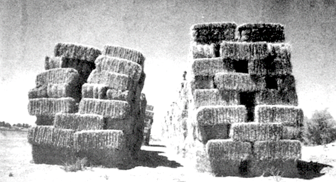 "The arsonist attempted to set 31 hay stacks afire the first night, and 17 of them burned."
