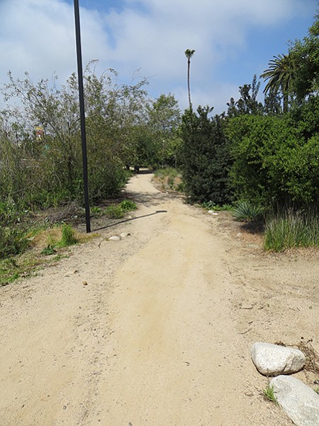 Native plant landscape path