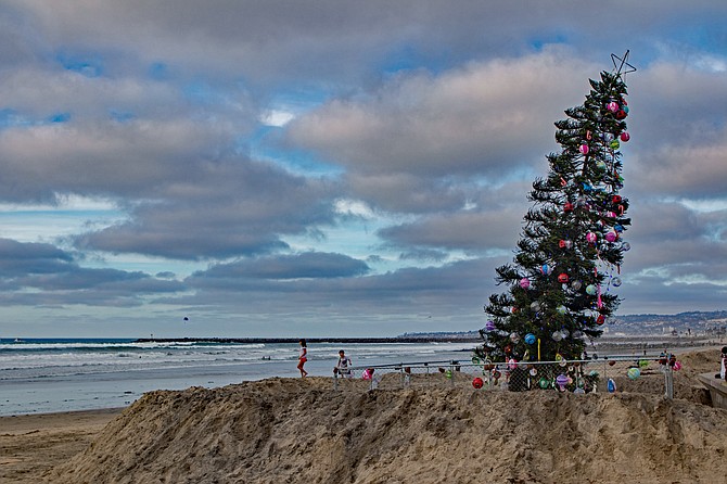 Ocean Beach Holiday Tree 2017