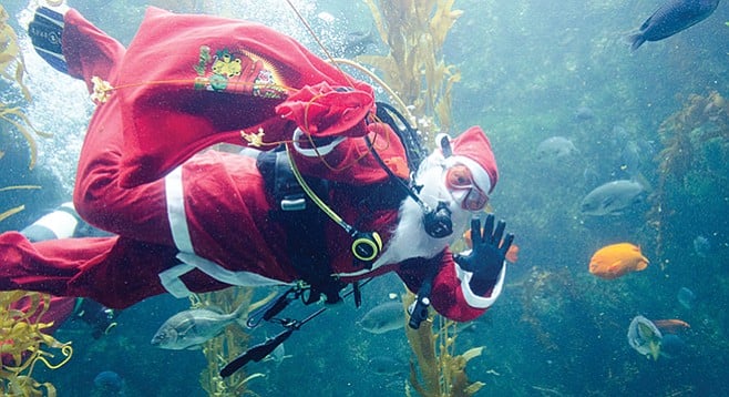 “Only elves will appear in the dive shows from December 26 to 30 — Scuba Santa needs some rest.”