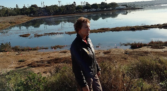 Isabelle Kay stands beside a flooded Kendall Frost Marsh on Tuesday, December 5