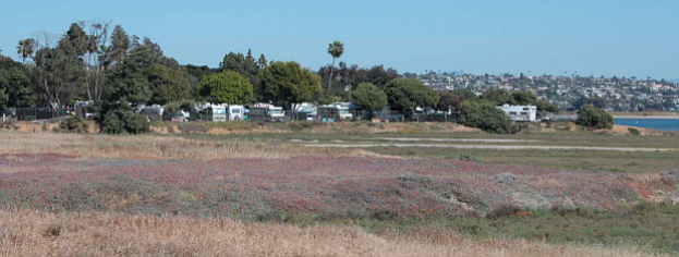 Kendall-Frost marsh, Campland by the Bay in the background