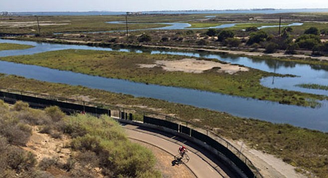 Wildlife and migratory birds in particular are vulnerable to contaminants in Sweetwater Marsh.