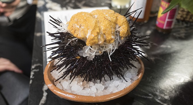 A healthy portion of sea urchin roe, serve in its quivering, spiny shell.