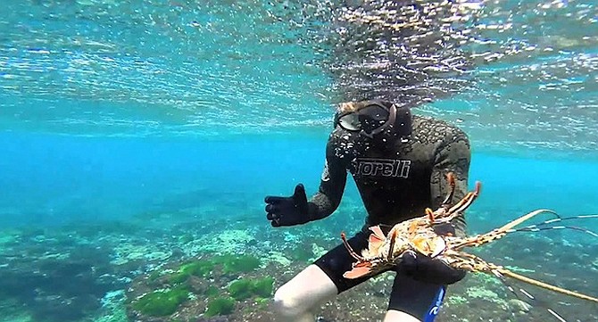 Five best snorkeling places in San Diego | San Diego Reader