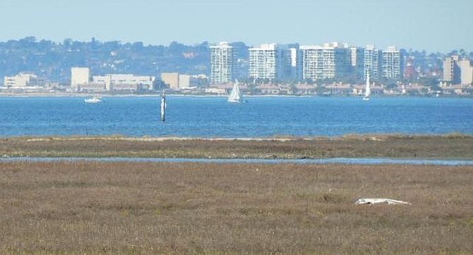 San Diego Bay from Gunpowder Point
