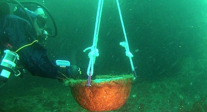 Jim's diver buddies used lift bags to lower and maneuver the cement/ash "urns" into place.
