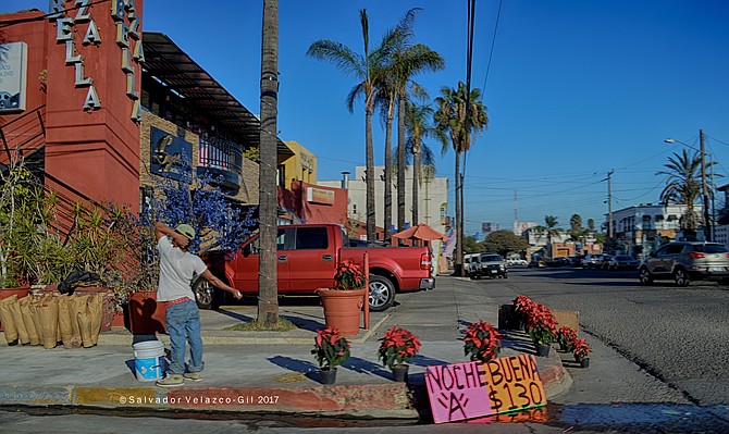 Neighborhood Photos
Tijuana,Baja California,Mexico
Colonia Cacho
