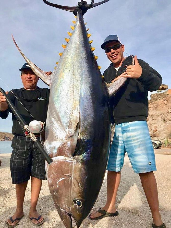 Jorge Lazo (on right) with yellowfin caught outside of Loreto