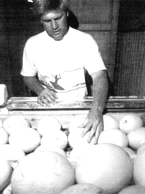 Frank Stehly of Valley Center checking eggs