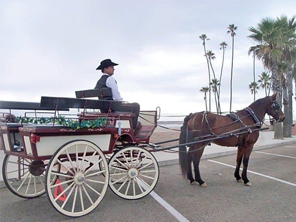 Horse-and-carriage rides in Oceanside 