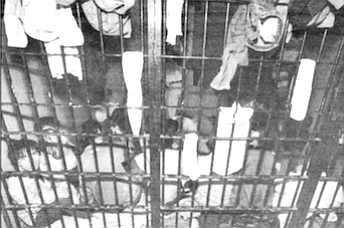 In Ensenada jail