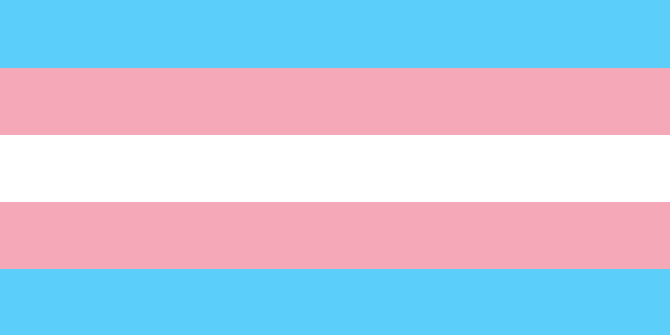 Trans-gender pride flag.