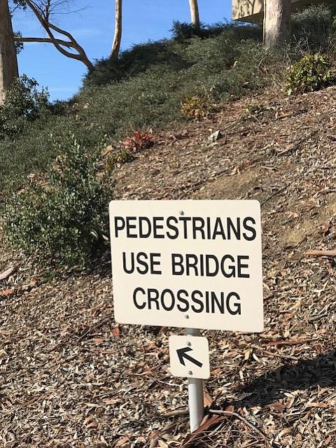 Pedestrians heading to Scripps campus west, be warned–the bridge is safer than the crosswalk