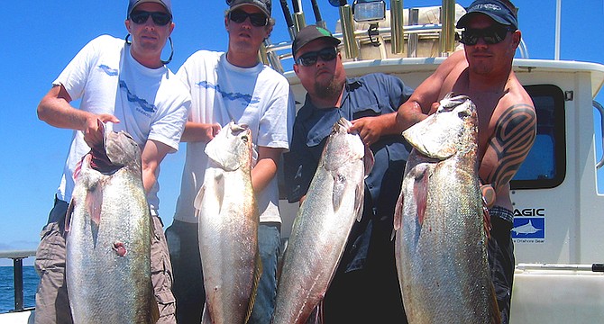 White seabass take is limited to ONE fish at least 28 inches from March 15 through June 15,