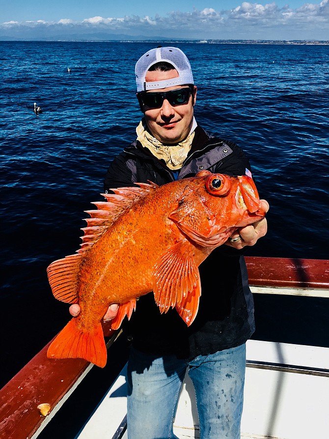 JP on one of the recent local half days out of Helgren's in the Oceanside Harbor. 5lbs Vermilion , Red Rockfish