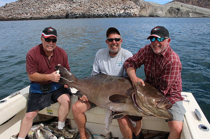 Some of Juan Cook's clients with a 135 pound Gulf Grouper, caught March 22nd, Gonzaga Bay, Baja California, Mexico.