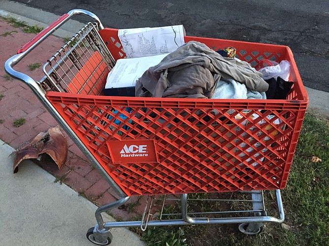 Ace is the place this shopping cart should be.