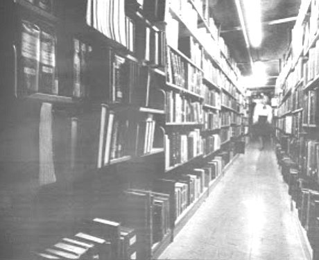 Shelves, current library
