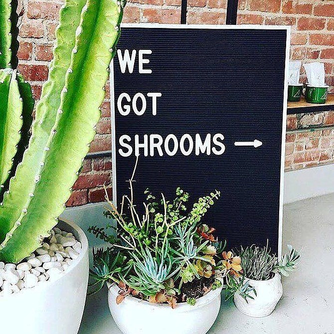 We got shrooms