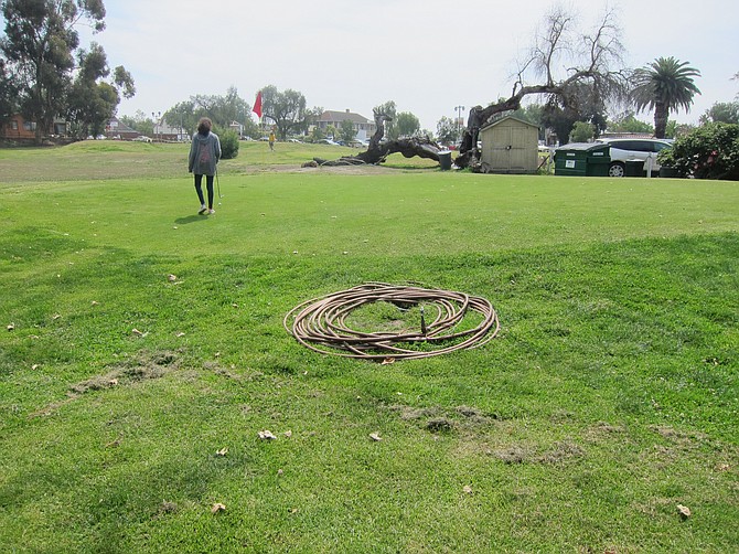 As Brooklyn golfed for the first time, she saw dead trees laying on the course, hoses coiled around sprinklers, yellow "crime scene" caution tape along the Juan Street side of the course, and an active anthill. 