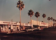 photo thumbnail