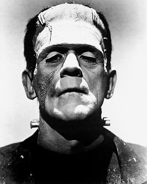 Frankenstein's monster: an imperfect creation