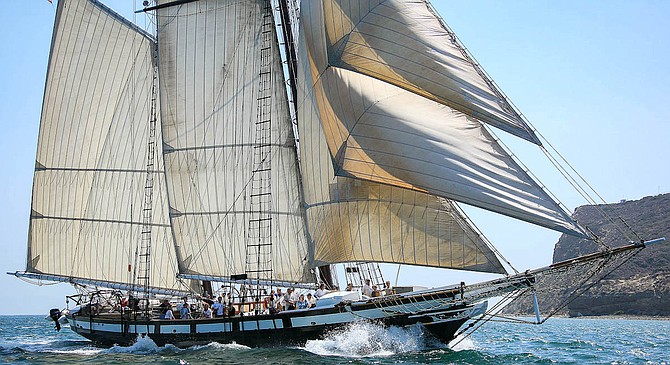 The Californian was moored next to the Maritime Museum when the sailing vessel struck its bow.
