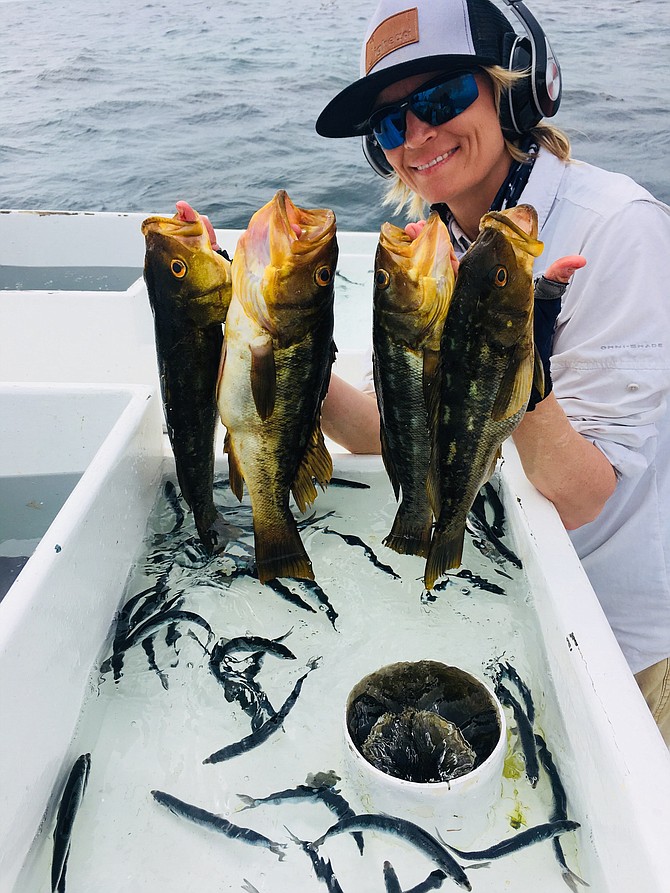 Jaclyn from North County with the Calico Bass bite on our spunky LIVE anchovies we picked up from Oceanside Bait company.