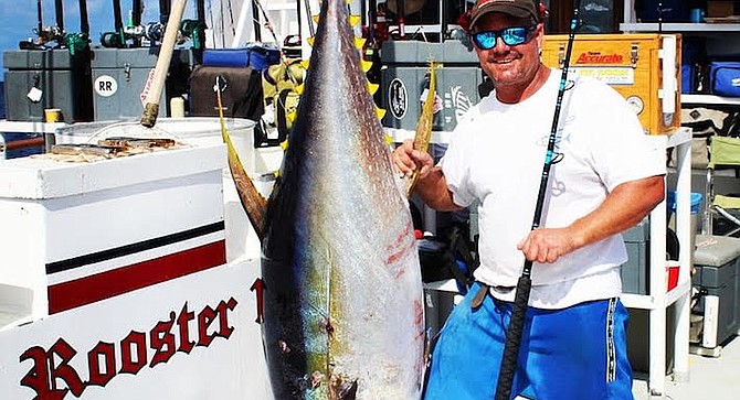 Last November at Hurricane Bank (Mexico), Robert Peterson caught a 230 lb. yellowfin tuna.


