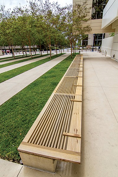 The slats in the courthouse bench mimic the alternating strips of grass and pavement.