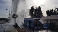 photo thumbnail
