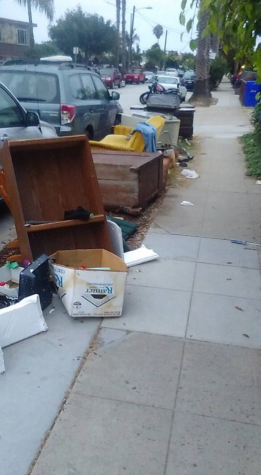 Even though illegal dumping/littering was a top-five concern city-wide, police data showed only 26 reported incidents last summer.