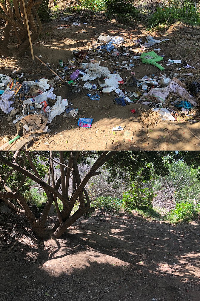 One Pacific Beach resident said the new neighborhood policing division is already paying dividends with the quick removal and clean-up of a homeless encampment along Rose Creek in May (before and after photo).