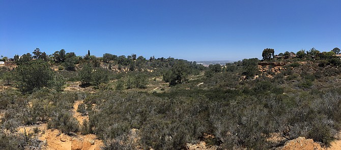 Wide view of Crest Canyon Open Space, looking northwest toward the Del Mar Fairgrounds, June 2018.  Del Mar, CA