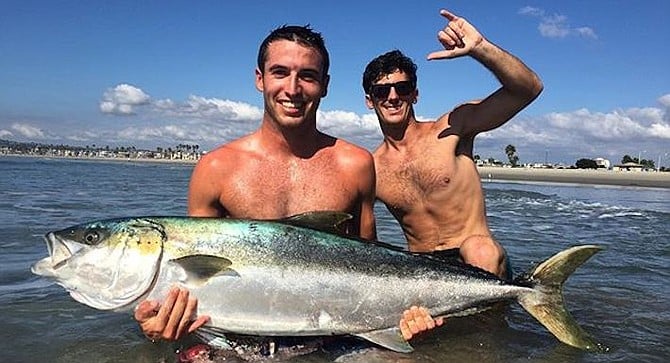 Yellowtail caught off Mission Bay Jetty, 2015