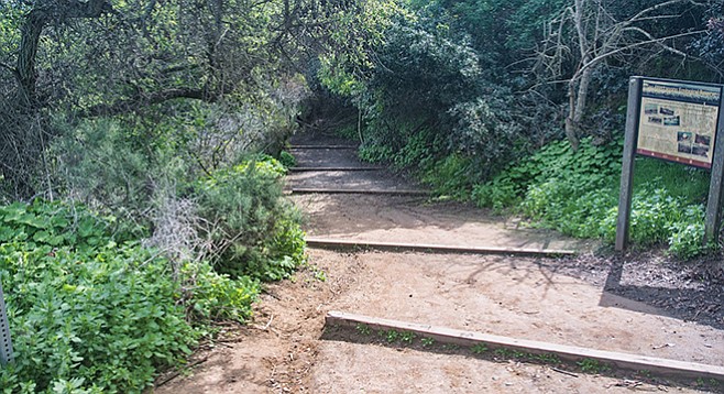 The trail heads through a tunnel of vegetation