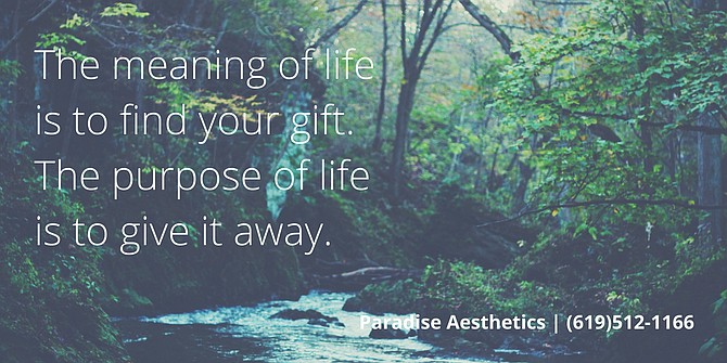 The meaning of life is to find your gift.The purpose of life is to give it away. 